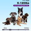 Bousnic Dog Shock Collar - 3300Ft Training Collar with Remote for 5-120lbs Small Medium Large Dogs Rechargeable Waterproof e Collar with Beep (1-8), Shake(1-16), Safe Shock(1-99) Modes (Lightpurple)
