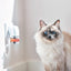 Beaphar | CatComfort Excellence Refill | Optimises Feelings of Reassurance & Well-Being | Promotes Multi-cat Harmonious Living | For Use with CatComfort Excellence Diffuser | Lasts Up To 30 Days
