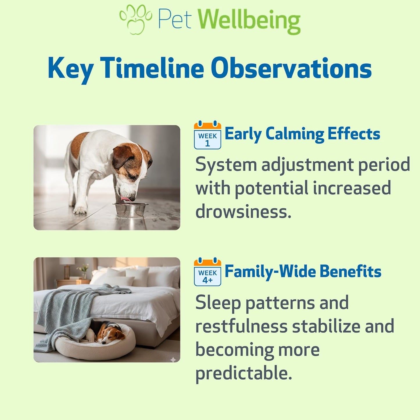Melatonin for Dogs & Cats – Calm, Relaxation & Better Sleep (2-Pack)