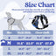 rabbitgoo Dog Harness Medium Sized, No Pull Pet Harness with 3 Buckles, Blue, M