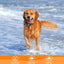Anti Bark Collar for Dogs - Anti Barking Device,Rechargeable IP7 Waterproof