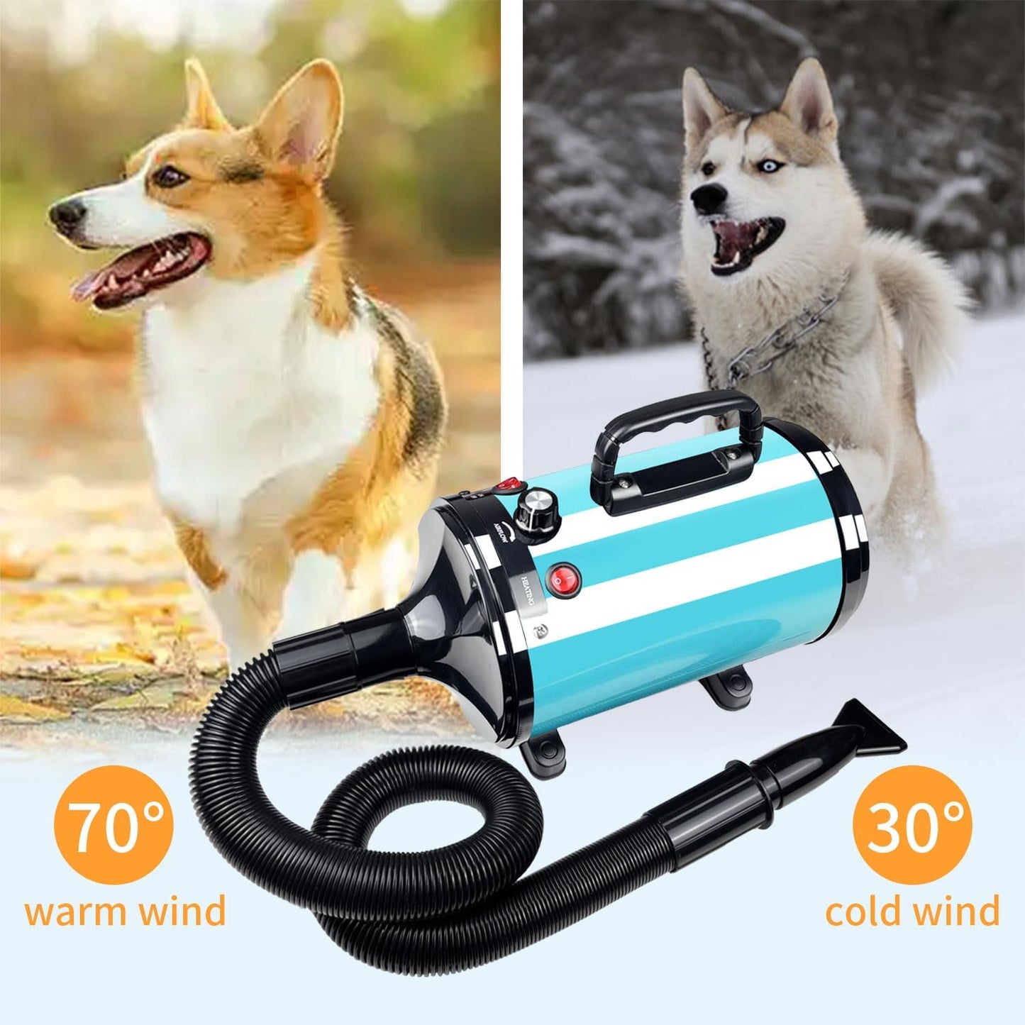 Professional Dog Hair Dryer, Low Noise, Adjustable Temperature (Blue)