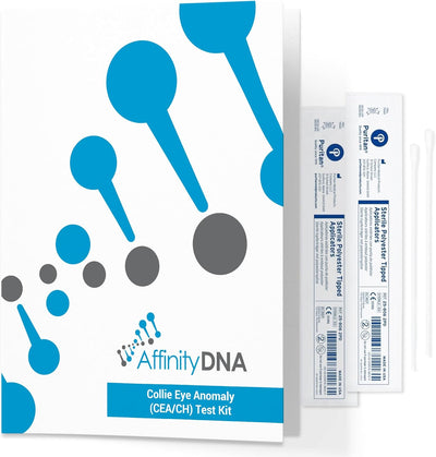AffinityDNA Dog Collie Eye Anomaly Choroidal Hypoplasia (CEA/CH) DNA Test | Home Sample Collection Kit for 1 Dog | Results in 7 Working Days |