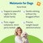 Melatonin for Dogs & Cats – Calm, Relaxation & Better Sleep (2-Pack)