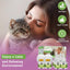 Cat Calming Diffuser Plug in - 6 Pack , Includes 2 Diffusers & 6 Refills