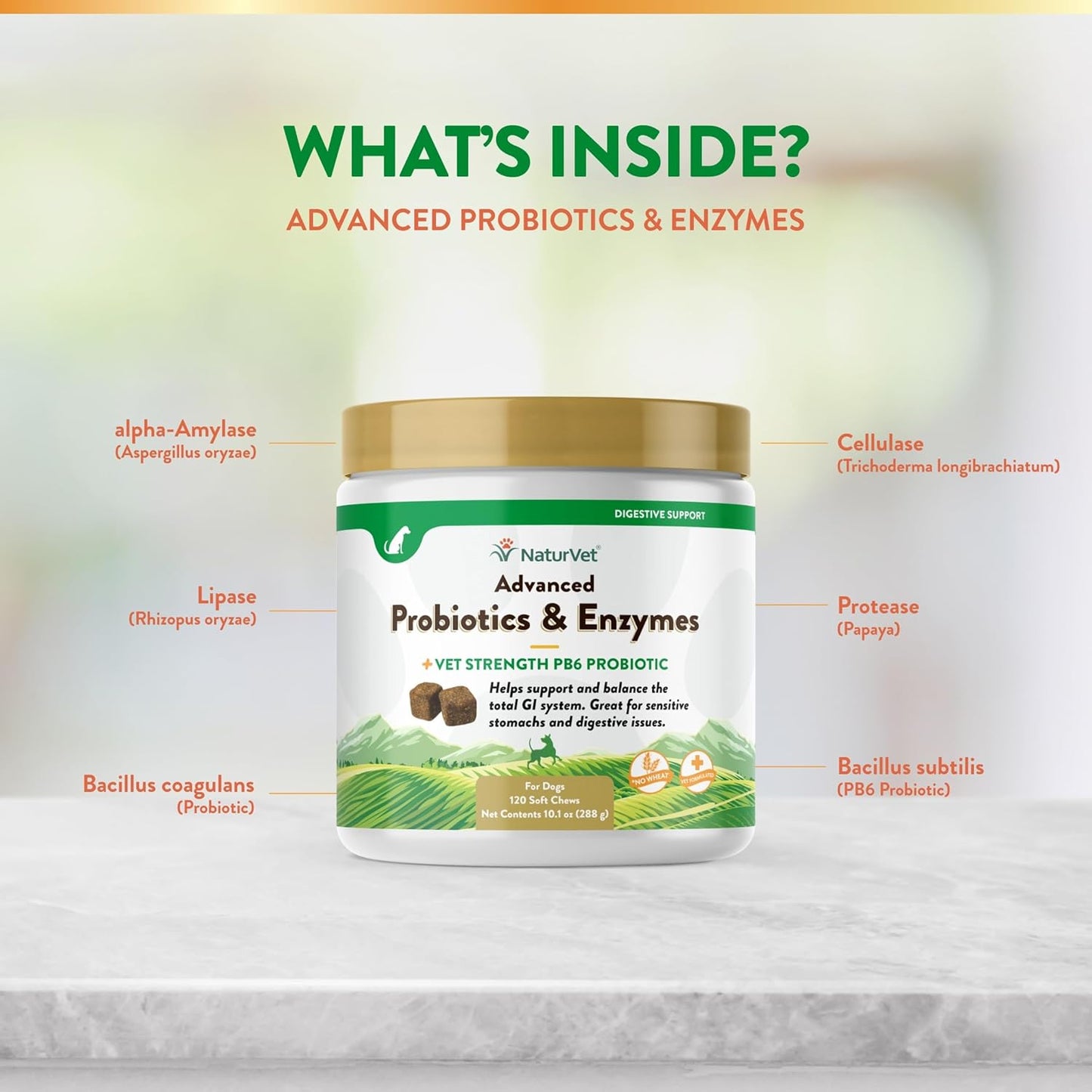 Garmon Corp NaturVet Advanced Probiotics & Enzymes Plus Vet Strength PB6 Probiotic for Dogs, 120 ct Soft Chews, Made in USA