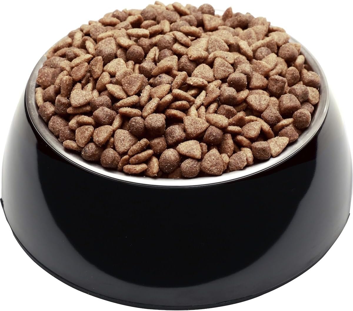 True Origin Salmon and Ocean Fish Dog Food 2.5 kg 1 Pack Medium