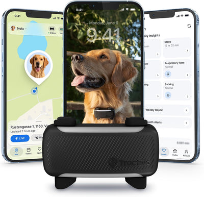 Tractive XL Smart Dog Tracker | 2026 Edition | Real-Time GPS Tracking | Escape & Health Alerts | Vitals Monitoring | Long Battery Life (Black)