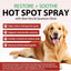 Dog Hot Spot Spray 100mL | Soothes Itchy Skin, Hot Spots & Licking Irritation | Gentle Aloe Vera, Chamomile & Lavender Extract Formula | Moisturizing & Calming Skin Care for Dogs