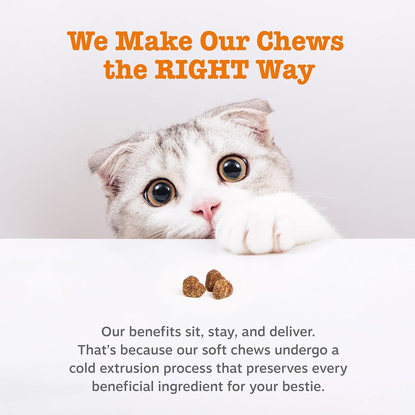 WellPet Allergy Support Chews for Dogs & Cats–Itch Relief, Immune Support,Chicken flavour,100 Chews