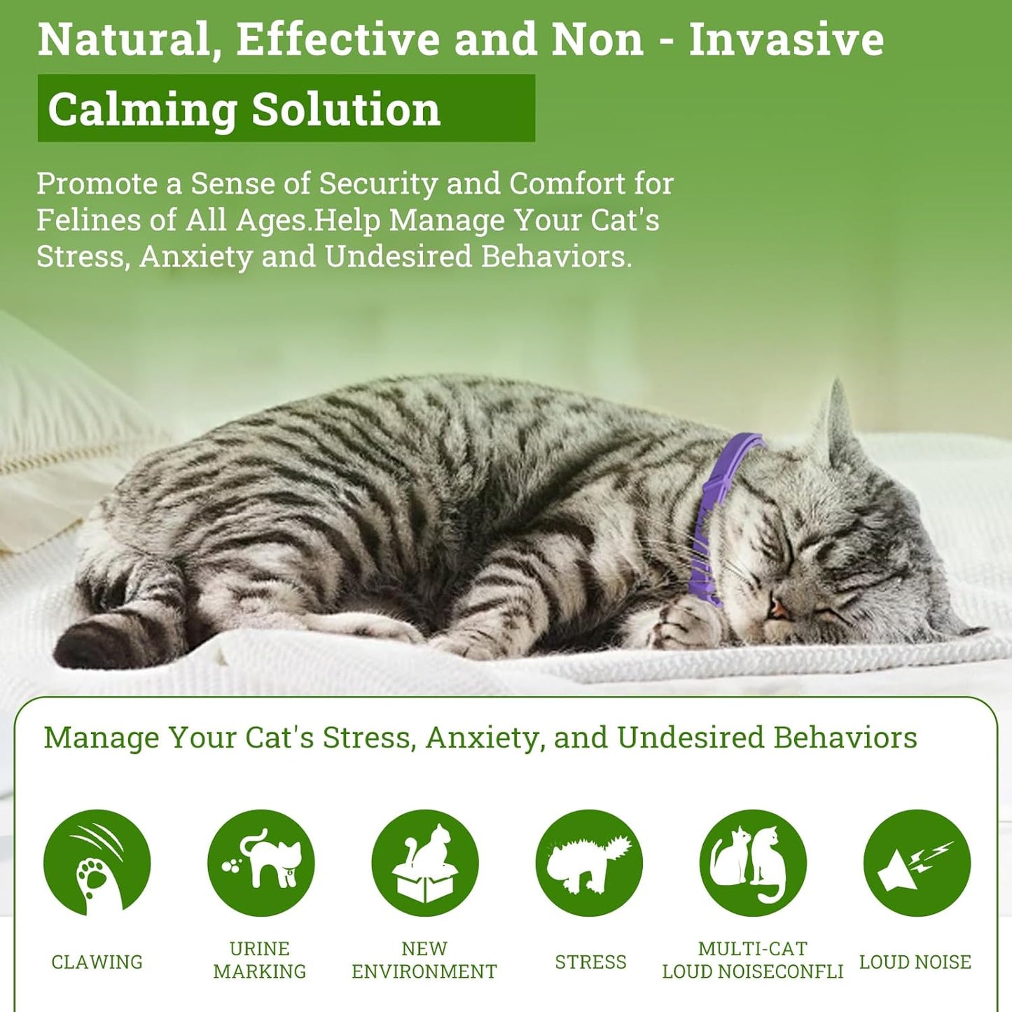 Cat Calming Diffuser Plug in Kit - 6 Pack Pheromone Diffuser for Anxious Cats, Anti-Stress & Comforting Solution with 2 Diffusers & 6 Refills +2pcs Calming Collar