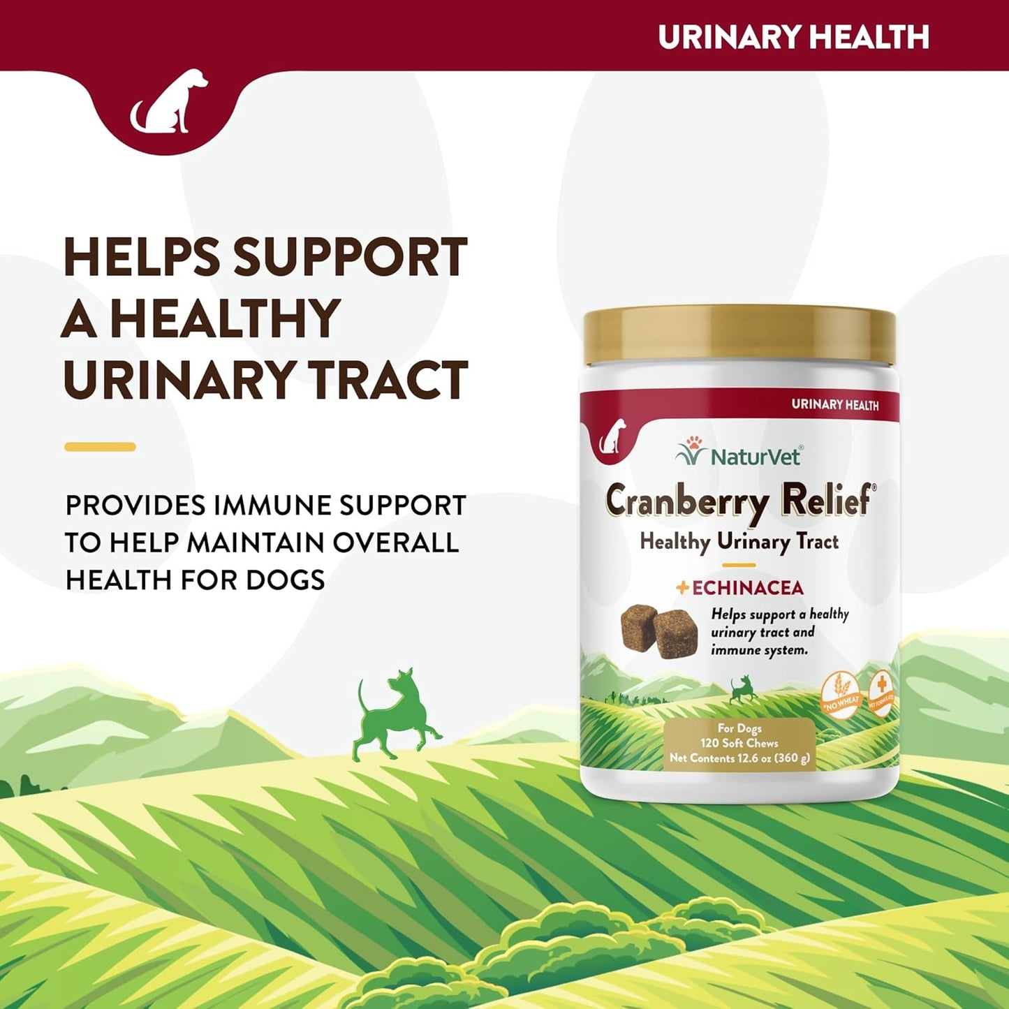 NaturVet Cranberry Relief 120 Count Soft Chew (Jar) with Echinacea for Dogs