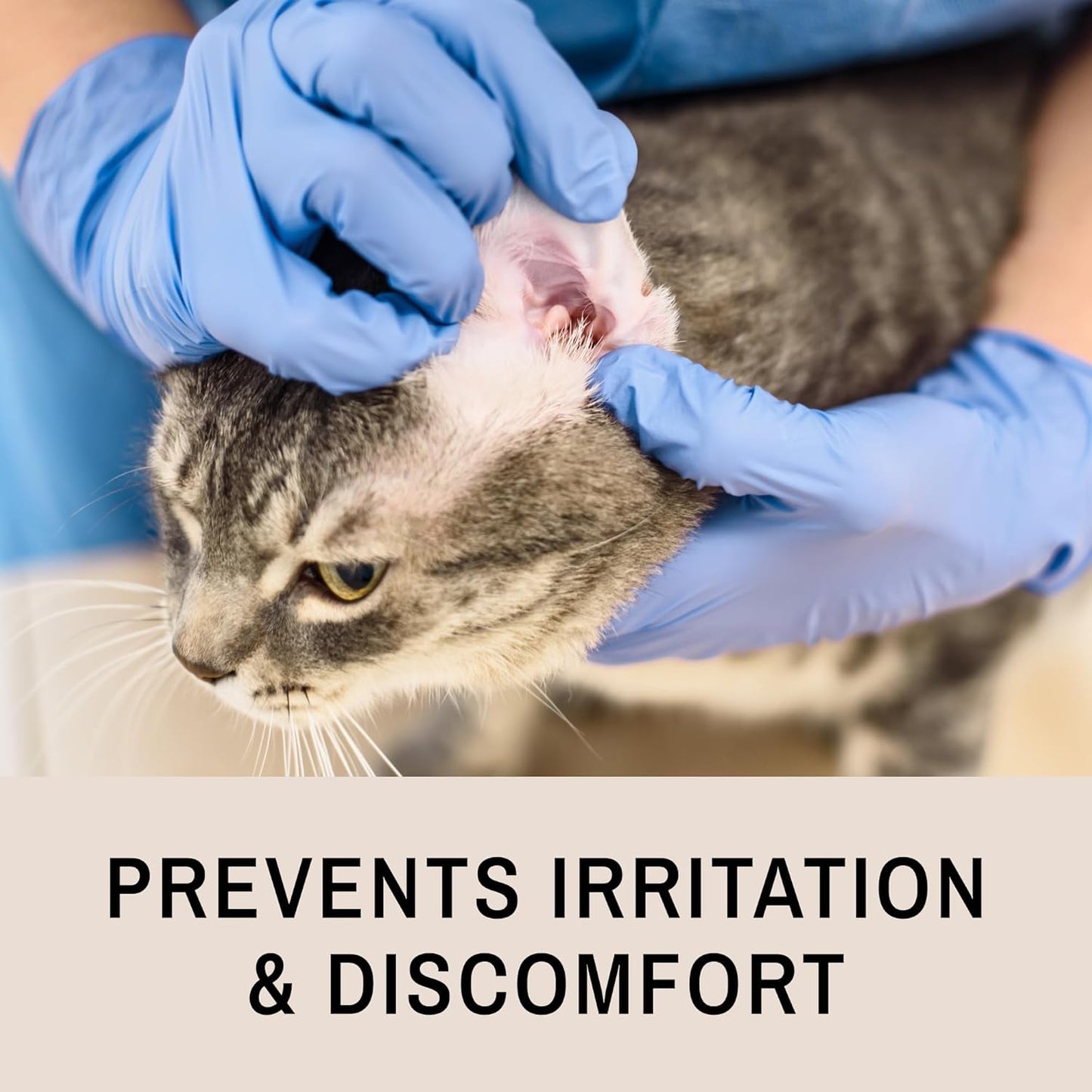 Eye Envy Ear Cleaning Solution for Dogs and Cats. Made in The USA