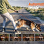 Dog Training Collar with Remote, with Auto-Brake Dog Training Leash,1600FT IP67