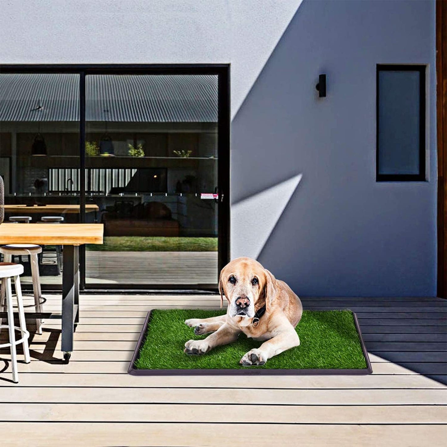 Indoor Dog Potty Toilet Grass Tray Pads Training Puppy Medium Mat (Pet Potty with 2 Grass Mat)