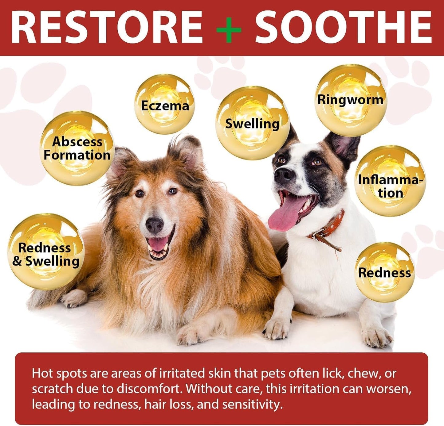 Dog Hot Spot Spray 100mL | Soothes Itchy Skin, Hot Spots & Licking Irritation | Gentle Aloe Vera, Chamomile & Lavender Extract Formula | Moisturizing & Calming Skin Care for Dogs