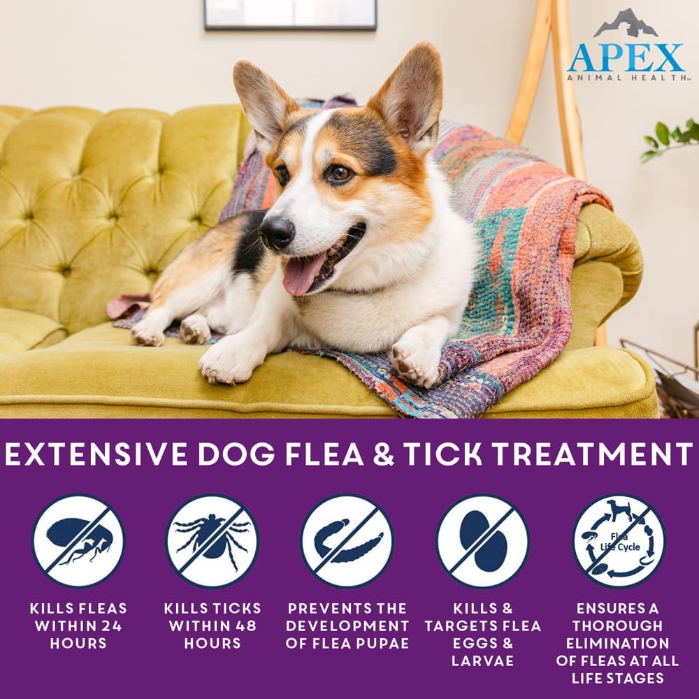 Apex Plus Flea and Tick Prevention for Dogs | Large (45-88 lbs) | 6-Month Supply |