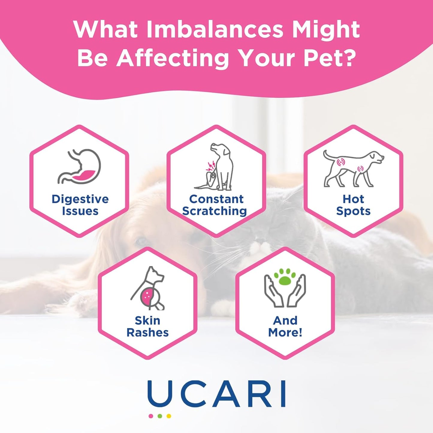 UCARI Pet Sensitivity Test | Screens for 350+ Intolerances | Food & Ingredients Analysis | Results in 48 Hours | Cats & Dogs