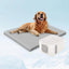 Tom Pet Pad Cooling System for Summer, Consistent Cooling Water Mat for Dogs and Cats, No Refrigeration or Chemical Gel Needed, Machine Washable Bed, Ideal for Home and Crates (Gray, XL)