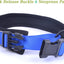 Adjustable Reflective Personalised Thick Dog Collar 1.6 Inch 4 CM Wide with Quick Release Buckle Soft Neoprene Padded Custom Embroidered Pet Name Phone Number for Boy Girl Small Medium Large Dogs