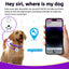 GPS Tracking & Calming Dog Collar - for New Environment Adaptation Anti-Loss Anxiety Relief, (4 Pack + 1Tracker)