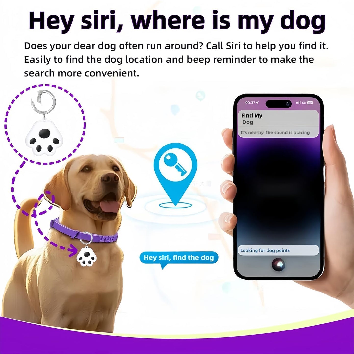 GPS Tracking & Calming Dog Collar - for New Environment Adaptation Anti-Loss Anxiety Relief, (4 Pack + 1Tracker)