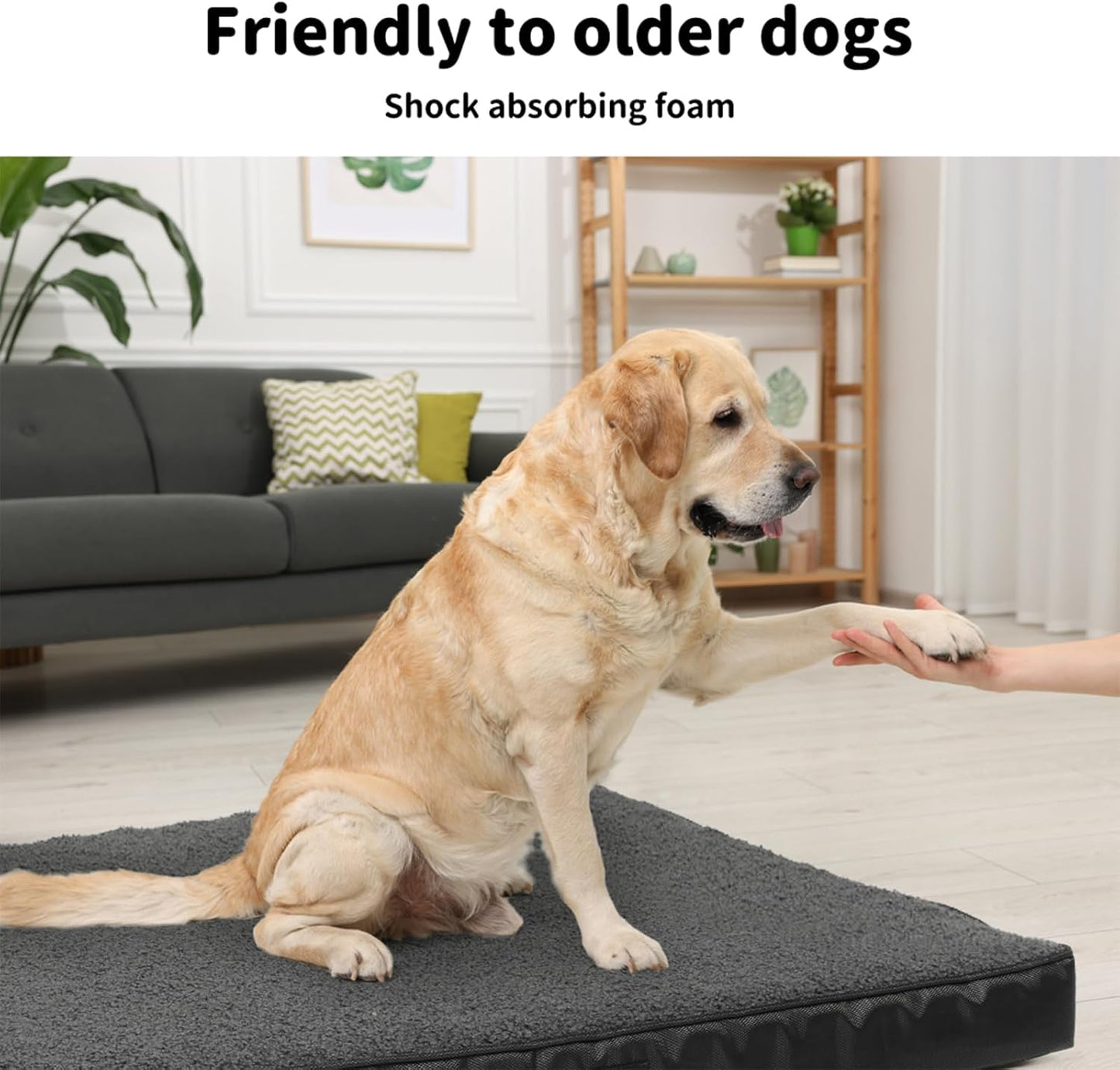 PaWz Orthopedic Dog Bed, Extra Extra Large Pet Calming Beds XXL