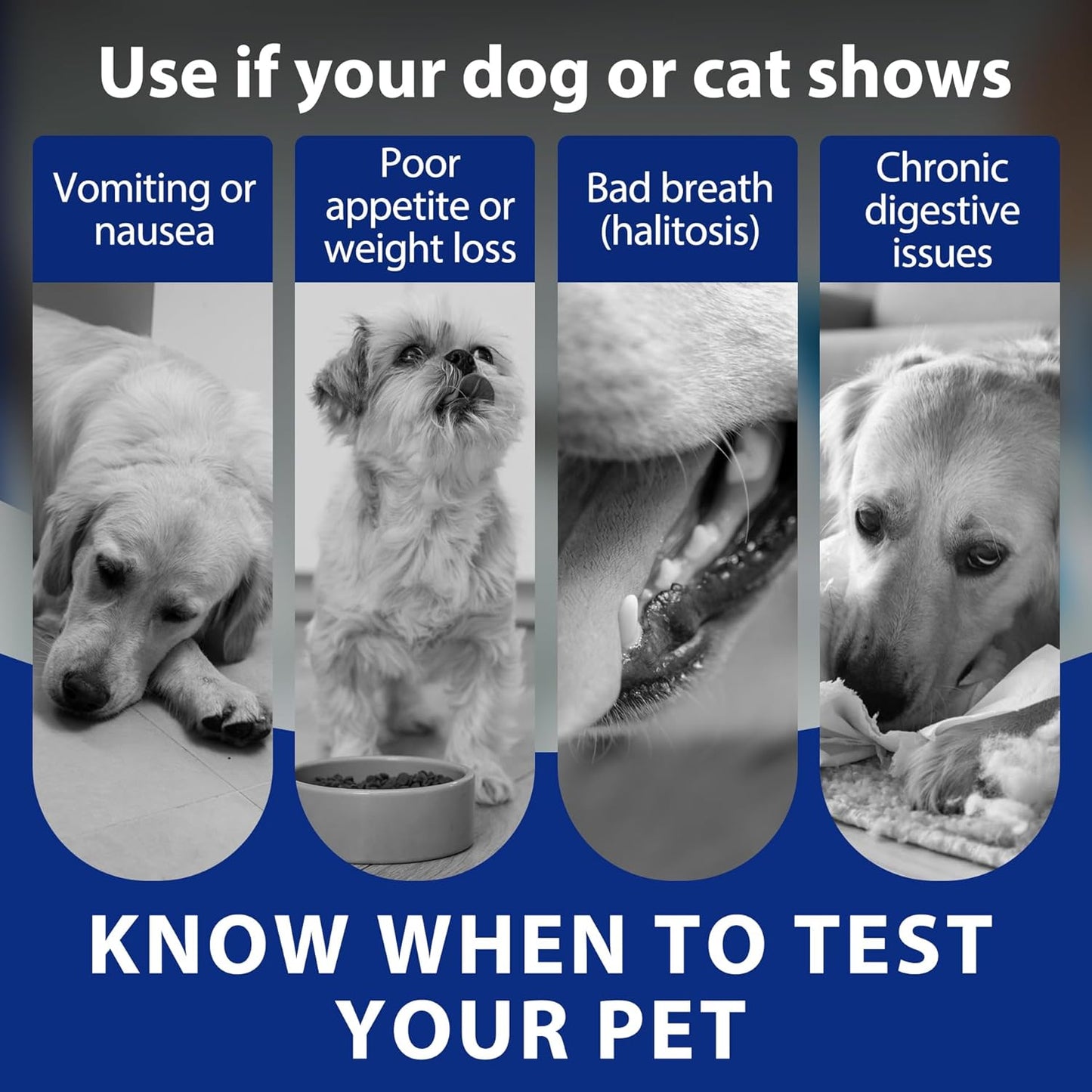 Pet H. Pylori Health Check Kit (2-Pack) – at-Home Testing for Dogs & Cats, Quick Results & Stress-Free Care