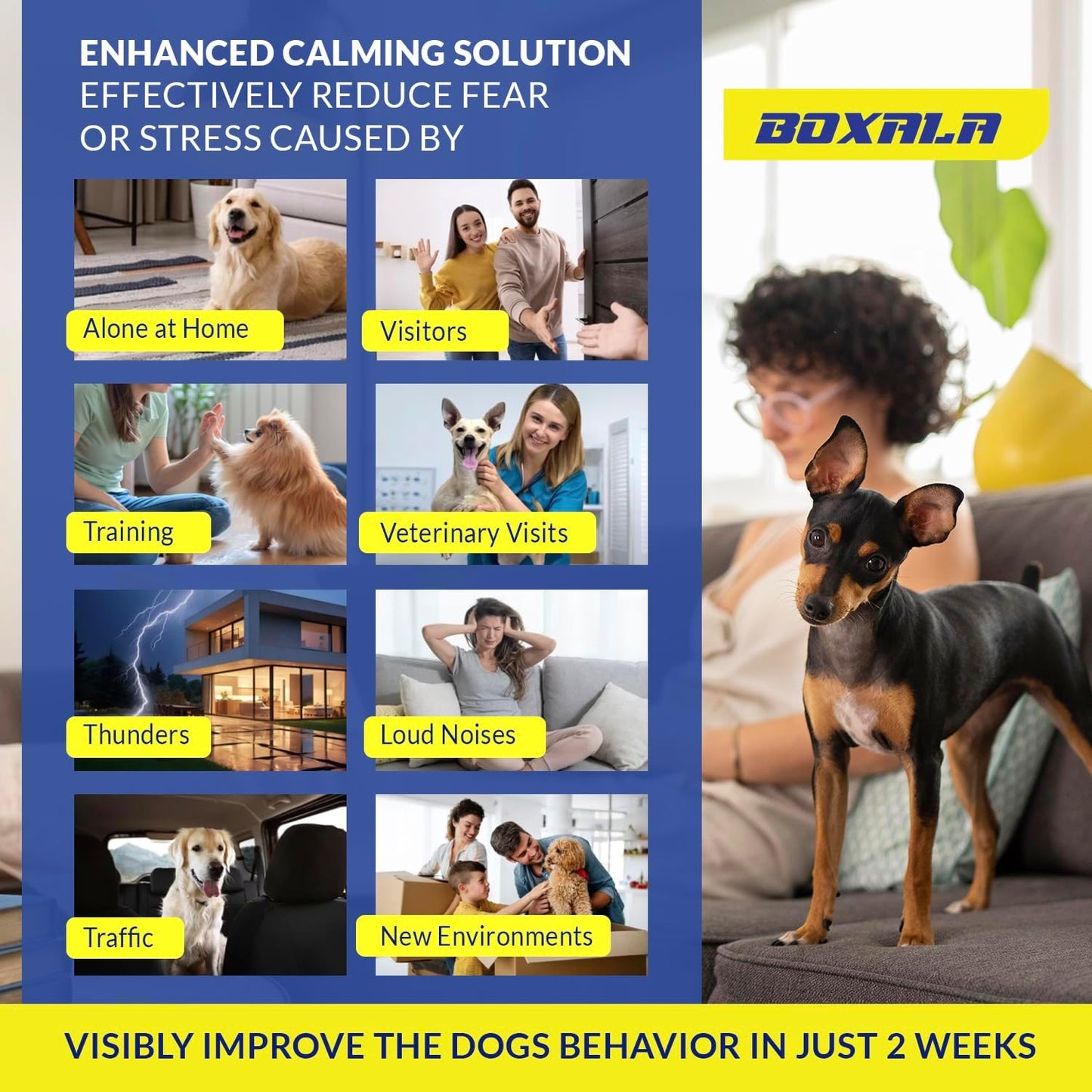 Pheromone Diffuser for Dogs (X Large)