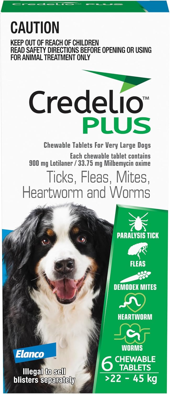 CREDELIO Plus X-Large Blue 6'S