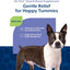 NaturVet No Toot Gas Aid Plus Fennel for Dogs, 70 ct Soft Chews, Made in USA