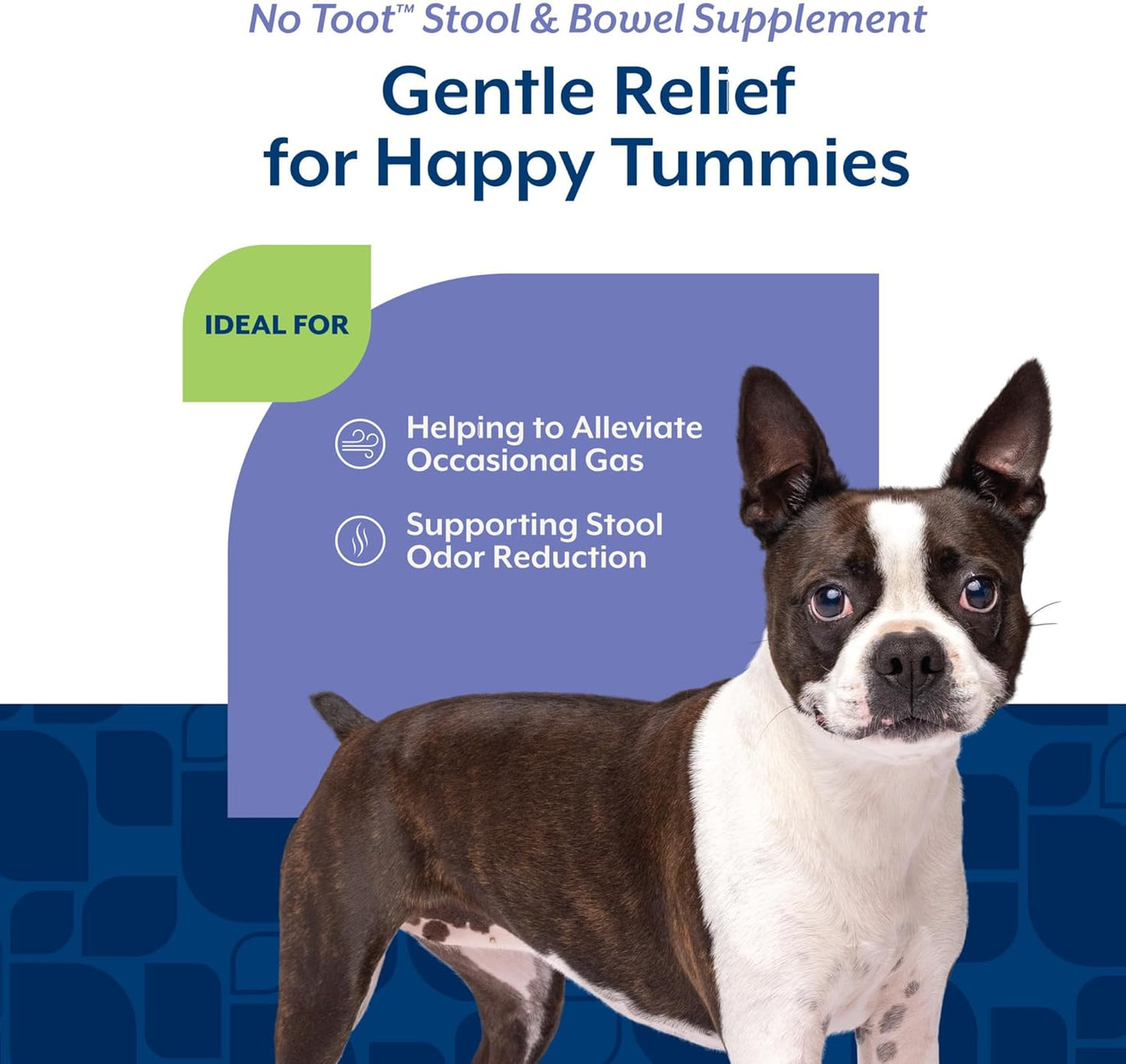NaturVet No Toot Gas Aid Plus Fennel for Dogs, 70 ct Soft Chews, Made in USA