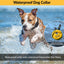 E-Collar – Educator ET-300-1/2 Mile Waterproof Remote Dog Training Collar Includes Premium Finger Clicker Trainer