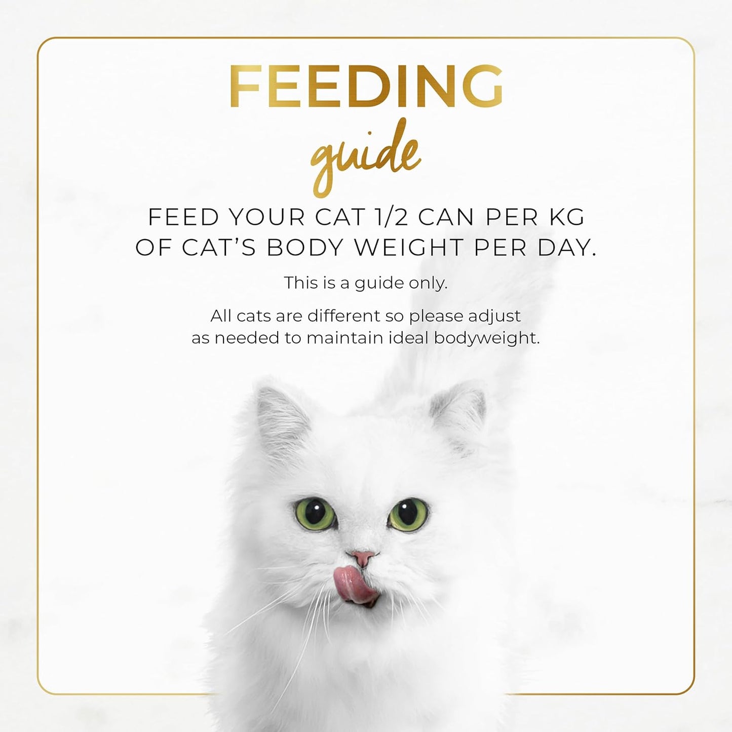 Fancy Feast Classic Paté Adult Wet Cat Food Savoury Salmon Feast 24x85g