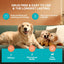 Dog Calming Pheromone Plug Diffuser: Dog Calming Pheromones Diffuser - Calm Dogs 60 Supply