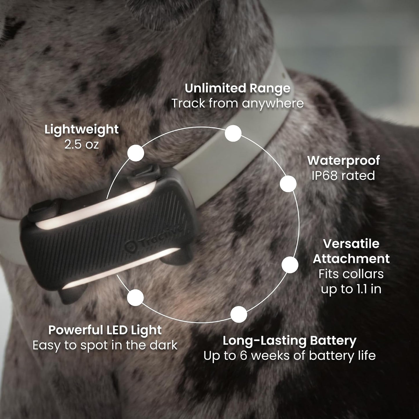 Tractive XL Smart Dog Tracker | 2026 Edition | Real-Time GPS Tracking | Escape & Health Alerts | Vitals Monitoring | Long Battery Life (Black)
