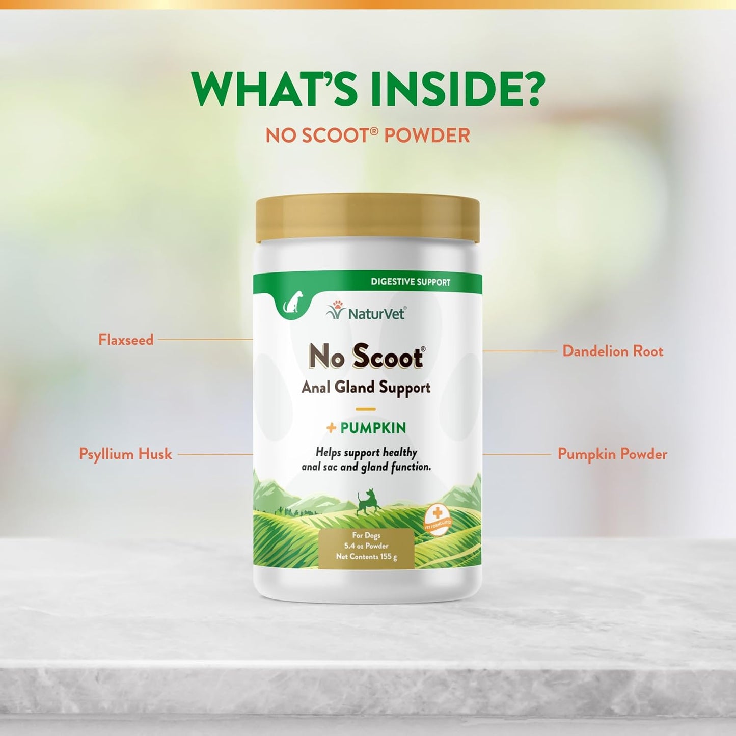 NaturVet No Scoot for Dogs - Plus Pumpkin | Supports Healthy Gland & Intestinal Function | Enriched with Beet Cutlet, Linseed & Psyllium Husks | 155 g Powder