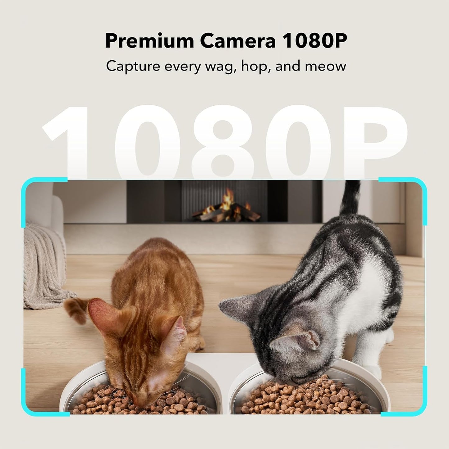 PETLIBRO Automatic Cat Feeder with Camera for Two Cats, 1080P HD Video with Night Vision