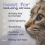 Cat Calming Diffuser Refills – Long-Lasting 30-Day – (2 Diffusers + 2 Refills)