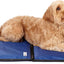 Dog Cooling Pad Dog Cooling Products Hydro Cooling Mat (23"x18") (2 Pack)