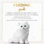 Fancy Feast Classic Paté Kitten Wet Cat Foood Tender Chicken Feast 24x85g