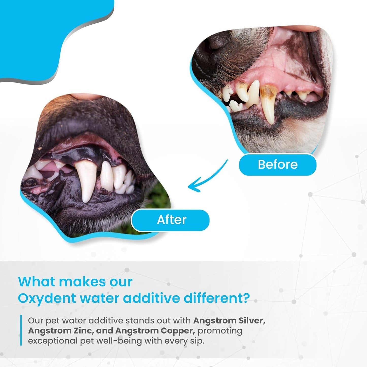 Oxydent Premium Pet Dental Care Solution