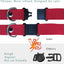 Yonsbox Personalized Anti Strangulation Kitten Cat Collars with Bell Breakaway