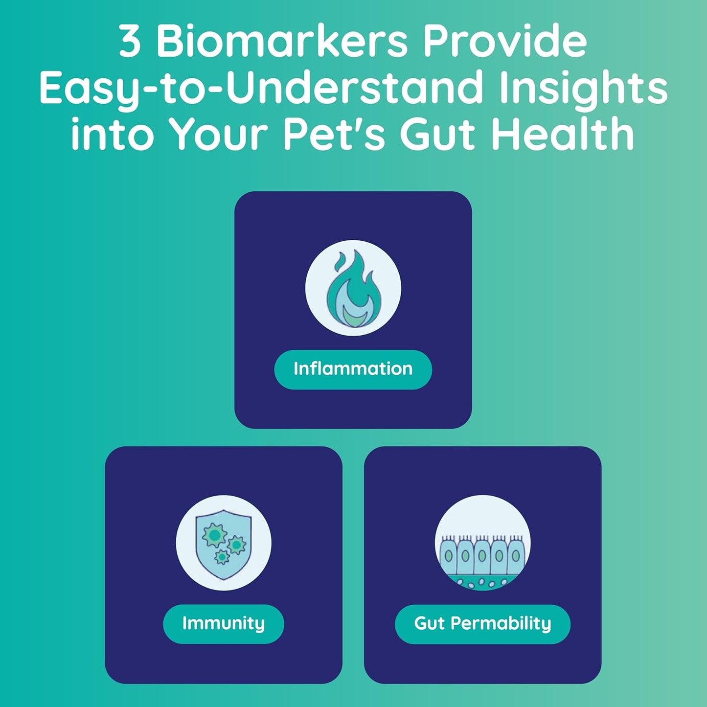 Basic Gut Test Kit – for Diarrhea, Itchy Skin, Mood Changes & Discomfort – Non-Invasive & Fast Results - Vet Trusted - Easy at-Home Stool Test - for Dogs & Cats
