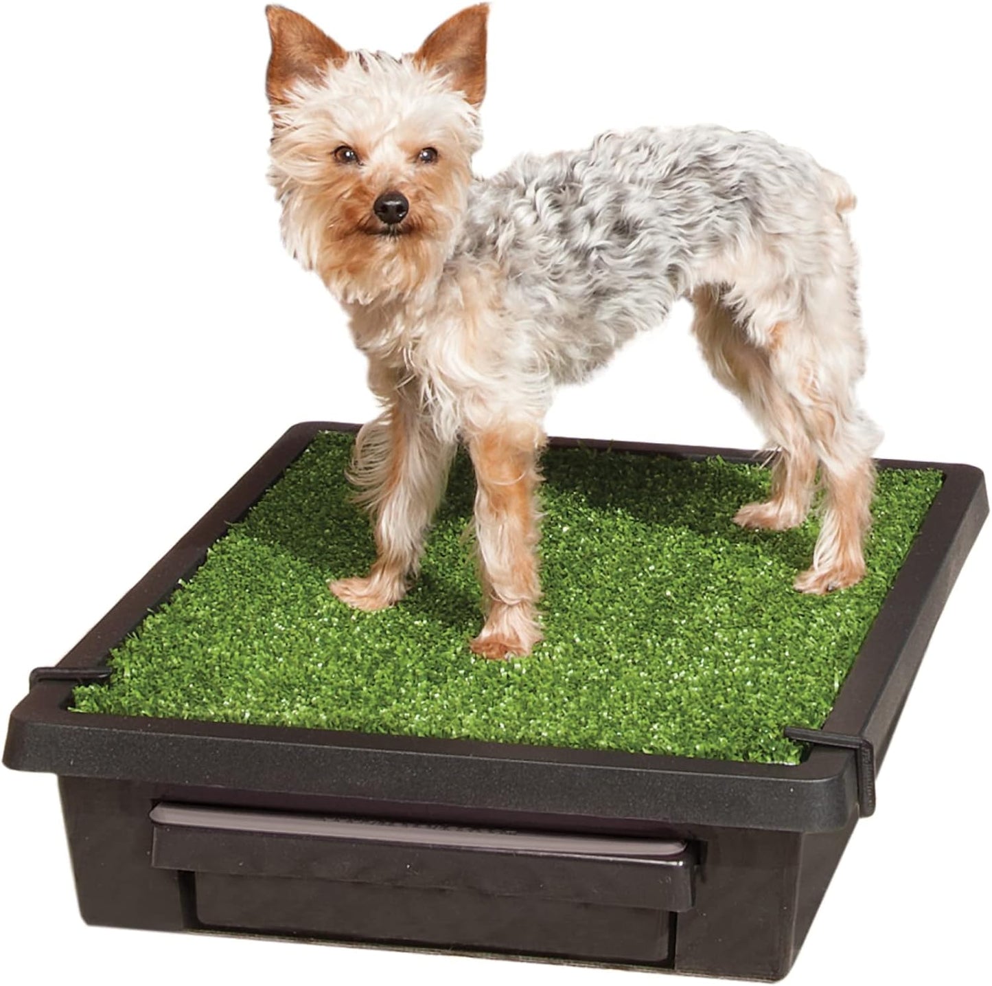 PetSafe PWM00-14497 Pet Loo- Small Portable Toilet for Dogs and Pets, Compact, Hygienic for Indoor Use, with Grass Pad, Black