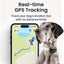 Tractive XL Smart Dog Tracker | 2026 Edition | Real-Time GPS Tracking | Escape & Health Alerts | Vitals Monitoring | Long Battery Life (Black)