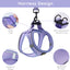 BELLA & PAL Puppy Harness with Leash Set, Dog Harness for Small Dogs No Pull, XS