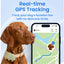 Tractive XL Smart Dog GPS Tracker | Live Pet Tracker with Virtual Fence | Vital Signs Monitoring of Heart & Respiratory Rate | Up to 1-Month Battery Life | Dog Collar Attachment (Green)