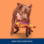 Barkbox Kangaroo Tossing Dog - Aussie Outback Disc with T-Shirt Rope & Crinkle – Fly-and-Tug Fetch Toy for Dogs
