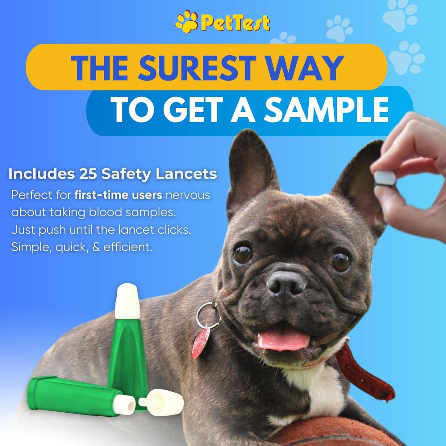 PetTest Beginner Glucose Monitoring Kit for Dogs & Cats, Diabetic Pet Blood Sugar Check Gear, Includes Wireless PetLink+ Meter, 25 Test Strips